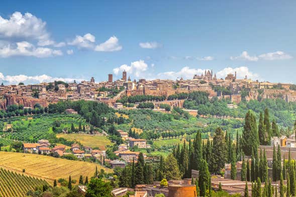 Excursion à Orvieto et Assise