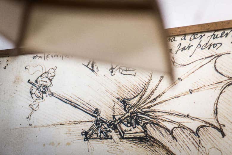 Dessins de Léonard de Vinci