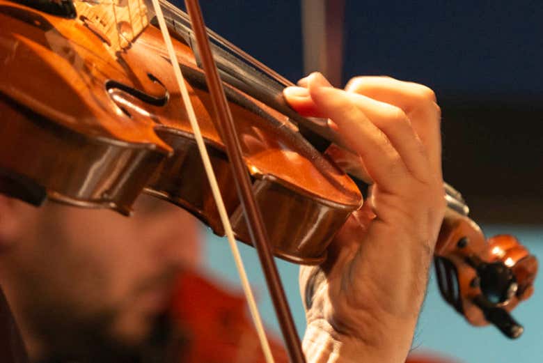 Musicien du Palazzo Poli