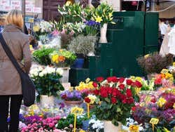 Campo de Fiori, stand de fleurs
