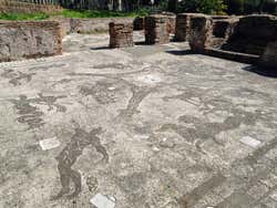 Ostia Antica, mosaïques